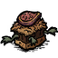 Figgy Frogwich