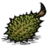 durian