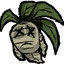 mandrake